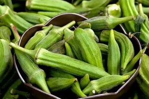 خواص بامیه برای مردان که کمتر کسی آن را میداند | هفته ای سه بار مصرف شود معجزه میکند