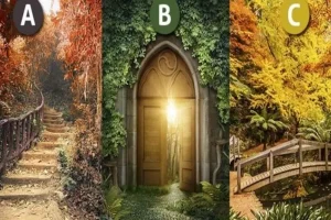 تست شخصیت شناسی | یک تصویر انتخاب کن و پیام فرشتگان برای آینده عشقی و عاطفی خودت رو بخون