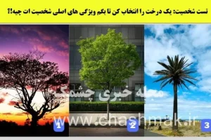 تست شخصیت شناسی | یک درخت انتخاب کن تا بگم ذاتا رهبر یا پیرو بقیه هستی