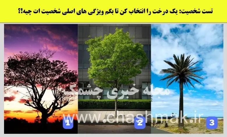 تست شخصیت شناسی | یک درخت انتخاب کن تا بگم ذاتا رهبر یا پیرو بقیه هستی