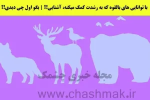 تست شخصیت شناسی | بگو اول چه حیوونی دیدی تا بگم چطوری میتونی رشد کنی