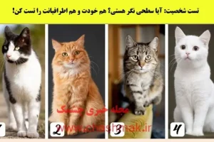 تست شخصیت شناسی | چقدر میتونی رو آدمای دورت حساب کنی؟ | این تست بت میگه میتونی به چه کسی تکیه کنی