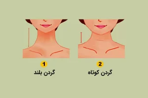 تست شخصیت شناسی | اگر میخوای شریک عاطفی یا دوستت رو بهتر بشناسی فقط کافیه به طول گردن اون دقت کنی