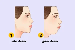 تست شخصیت شناسی | میخوای ذهن اطرافیانتو بخونی؟ فقط کافیه به فرم فک و چونشون دقت کنی