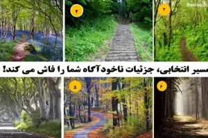 تست شخصیت شناسی | یک مسیر انتخاب کن تا بگم روحیه لطیف یا خشنی داری