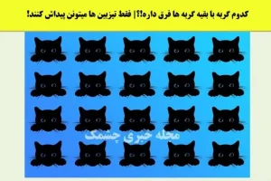 تست هوش | یکی از گربه ها با بقیه فرق میکنه زیر 6 ثانیه میتونی تشخیص بدی؟