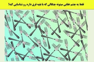 تست هوش | میتونی تو 3 ثانیه چنگال متفاوت رو پیدا کنی؟
