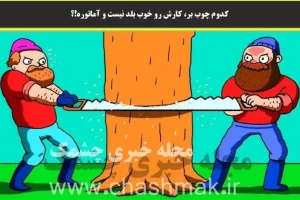تست هوش | یکی از این آقایون بلد نیست چوب بری کنه با دلیل بگو کدوم؟