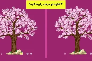 تست هوش | فقط یک فرد با ذهن آروم میتونه سه تفاوت تصویر رو پیدا کنه