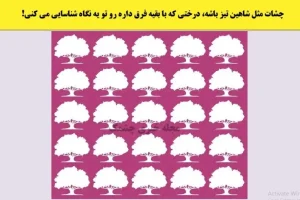 تست هوش | فقط تیز بینا میتونن زیر ده ثانیه درخت متفاوت رو پیدا کنن
