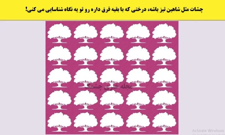 تست هوش | فقط تیز بینا میتونن زیر ده ثانیه درخت متفاوت رو پیدا کنن