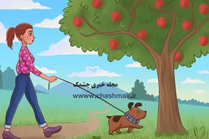 تست هوش | 5 قلب مخفی تصویر را زیر 5 ثانیه پیدا کن و تیز بینیتو ثابت کن