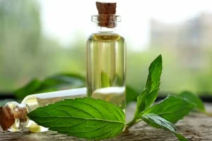 به جای روغن های خوراکی مضر و خطرناک از این مواد طبیعی استفاده کن و با چاقی و دیابت و چربی خون برای همیشه خداحافظی کنید