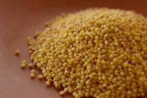 ارزن؛ دانه ای کوچک با خواص بزرگ | از سلامت قلب و لاغری تا پاکسازی کامل بدن و تحویل یک بدن صفر کیلومتر در کمترین زمان