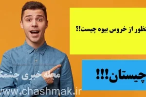 چیستان روز | منظور از خروس بیوه چیست!؟