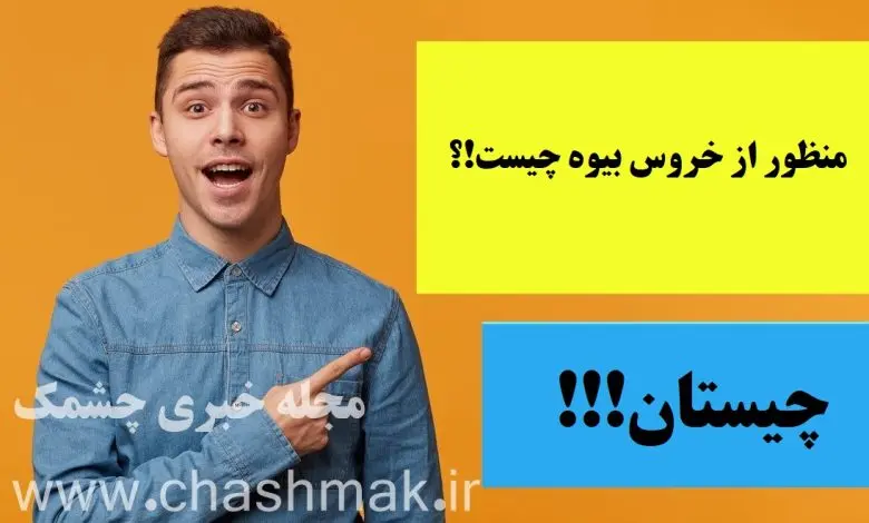 چیستان روز | منظور از خروس بیوه چیست!؟