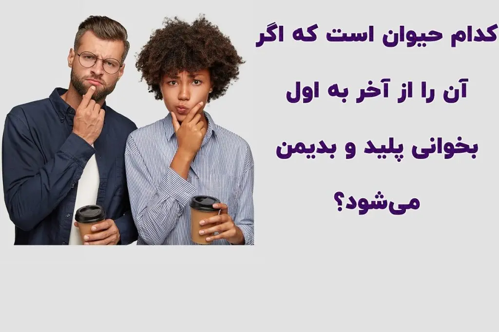 چیستان روز | کدام حیوان است که اگر آن را از آخر به اول بخوانی پلید و بدیمن میشود؟