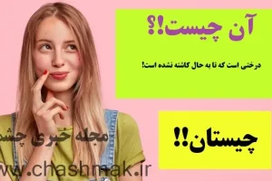 چیستان روز | درختی است که تا به حال کاشته نشده است!