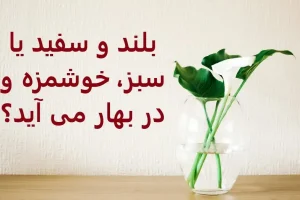 چیستان روز | بلند و سفید یا سبز، خوشمزه و در بهار می آید؟