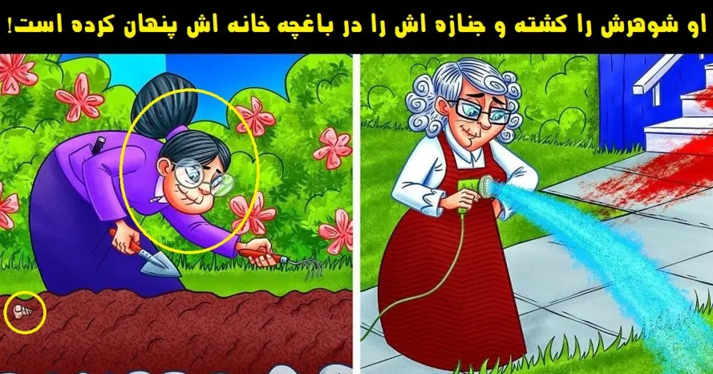 تست هوش