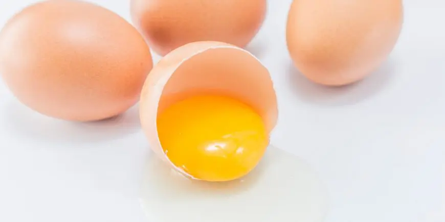 فواید-زرده-تخم-مرغ-870x435