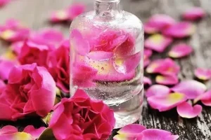 سردرد های شهریور و پاییز و آلودگی هوا را با بوییدن این گل از بین ببرید + رفع استرس