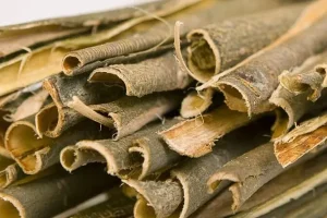 با این ۳ داروی گیاهی دیگر نیازی به پزشک ندارید