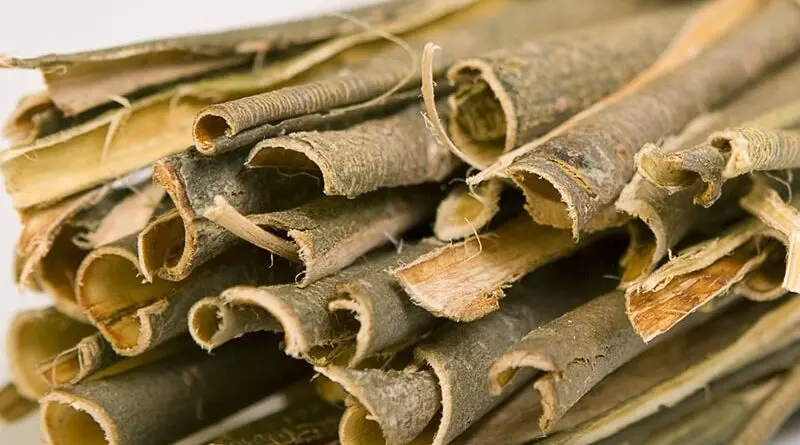با این ۳ داروی گیاهی دیگر نیازی به پزشک ندارید