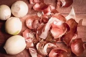 فواید بیشمار پوست پیاز که تا بحال کسی به ما نگفته بود