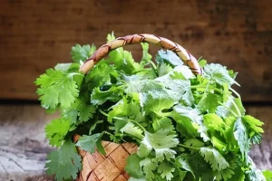 با این سبزی دندان هایتان را سفید کنید | کلیه و رحم سالم برای 120 سال با مصرف این سبزی به همرا غذا + اینفوگرافیک