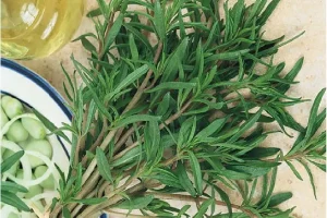 این گیاه شفابخش ایرانی ضد درد و ضد عفونت است | کمک به هضم آسان غذا و لاغری و تناسب اندام
