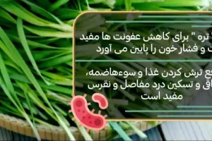 مصرف این سبزی در صبحانه فشار خون را قیچی می کند + رفع چاقی و سوء هاضمه و تقویت استخوان