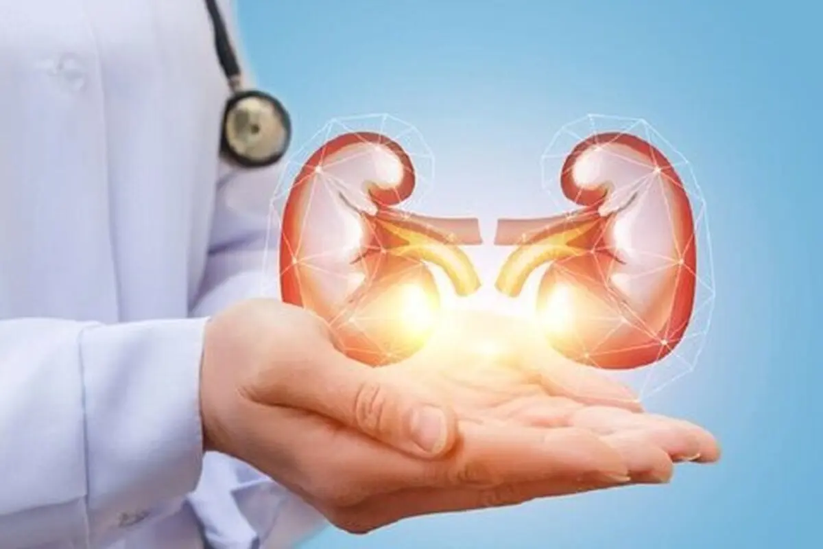 هشدار ! اگر این پنج علامت را دارید فکری به حال کلیه تان بکنید