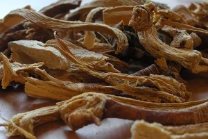 دیگر برای گلو درد به قرص لب نزنید این گیاه راه نجات شما