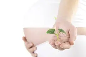 رژیمی که سبب افزایش قدرت باروری می‎شود