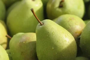 مصرف این میوه پاییزی کم خونی و قند خون و کلسترول و گرفتگی عروق را یکجا از بین می برد