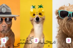تست شخصیت شناسی | یک هاپوی جذاب انتخاب کن تا بگم چقدر خفنی!!!