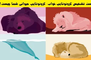 تست شخصیت شناسی | تست تشخیص کرونوتایپ خواب؛ شما کدام یک از 4 کرونوتایپ حیوانی هستید؟ | این تست حقایق جالبی از شخصیت شما رو فاش میکنه