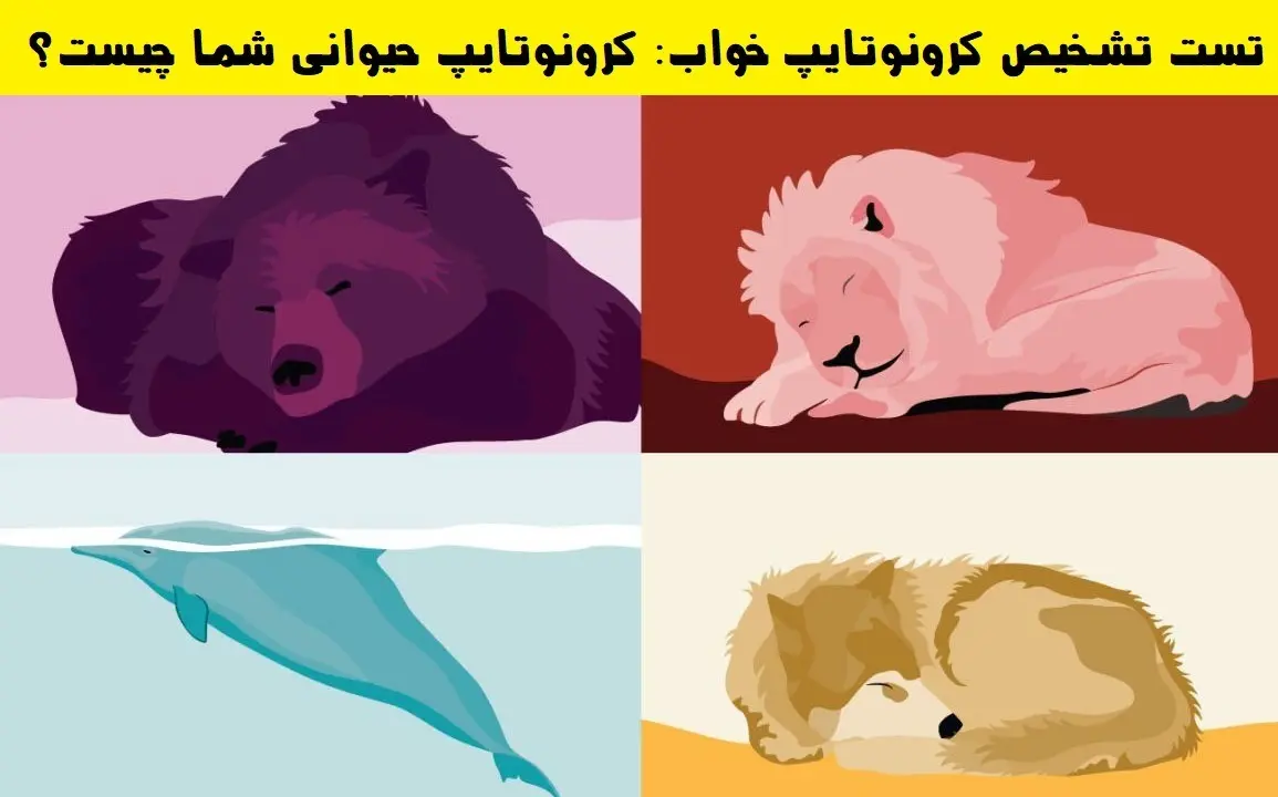 تست شخصیت شناسی | تست تشخیص کرونوتایپ خواب؛ شما کدام یک از 4 کرونوتایپ حیوانی هستید؟ | این تست حقایق جالبی از شخصیت شما رو فاش میکنه