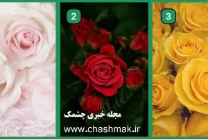 تست شخصیت شناسی | عشقت همیشه از زیر مسئولیتا فرار میکنه یا میتونی روش حساب کنی؟