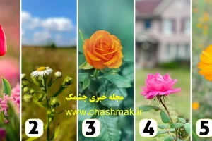 تست شخصیت شناسی | ویژگی خاص شما از نظر اطرافیانتون چیه؟ یک گل انتخاب کنید