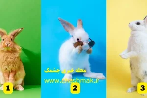 تست شخصیت شناسی | یک خرگوش انتخاب کن تا یه چیزایی از خودت و اطرافیانت بگم که بمونی