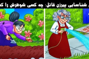 تست هوش | یکی از این خانم بزرگا دم پیری شوهرشو کشته میتونی با دلیل بگی قاتل پیر کیه؟