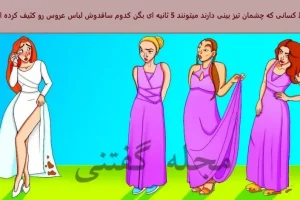 تست هوش | میتونی زیر 6 ثانیه ساقدوش خبیثی که لباس عروس خانومو خراب کرده رو پیدا کنی؟
