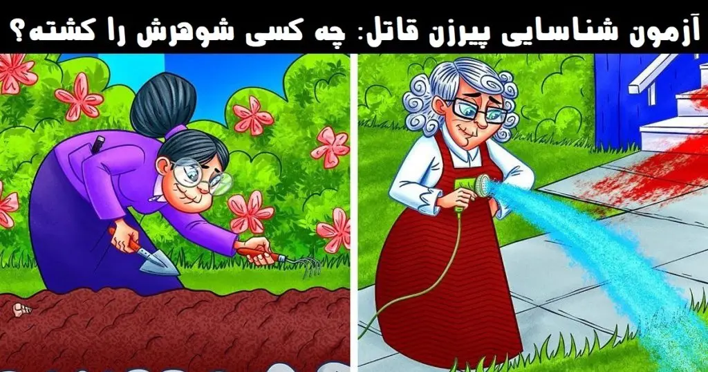 تست هوش | یکی از این خانم بزرگا دم پیری شوهرشو کشته میتونی با دلیل بگی قاتل پیر کیه؟