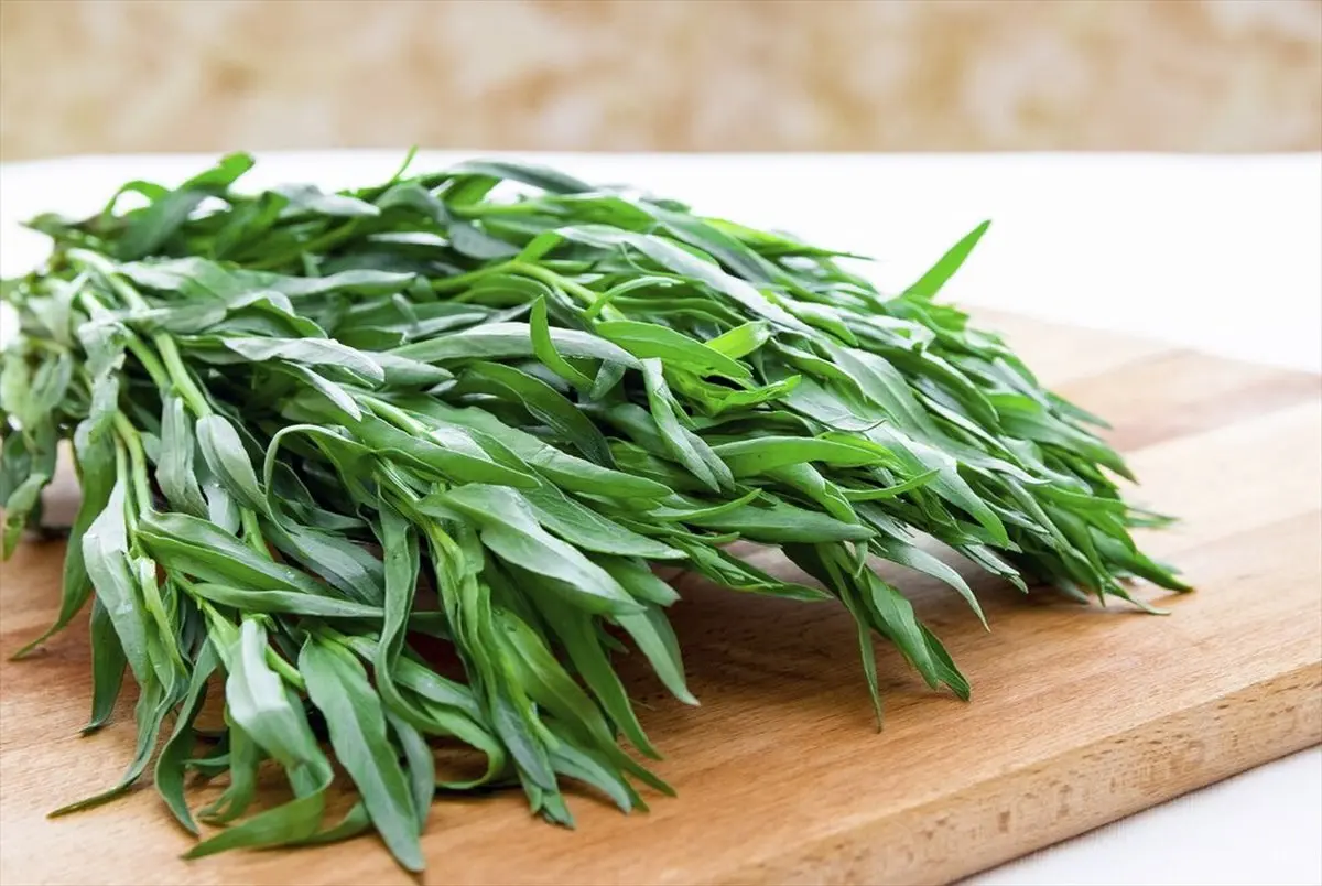 این سبزی را خشک کنید و به جای نمک در غذا ها و سر سفره استفاده کنید