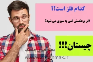 چیستان روز | کدام فلز است که اگه برعکسش کنید یک سبزی می شود؟