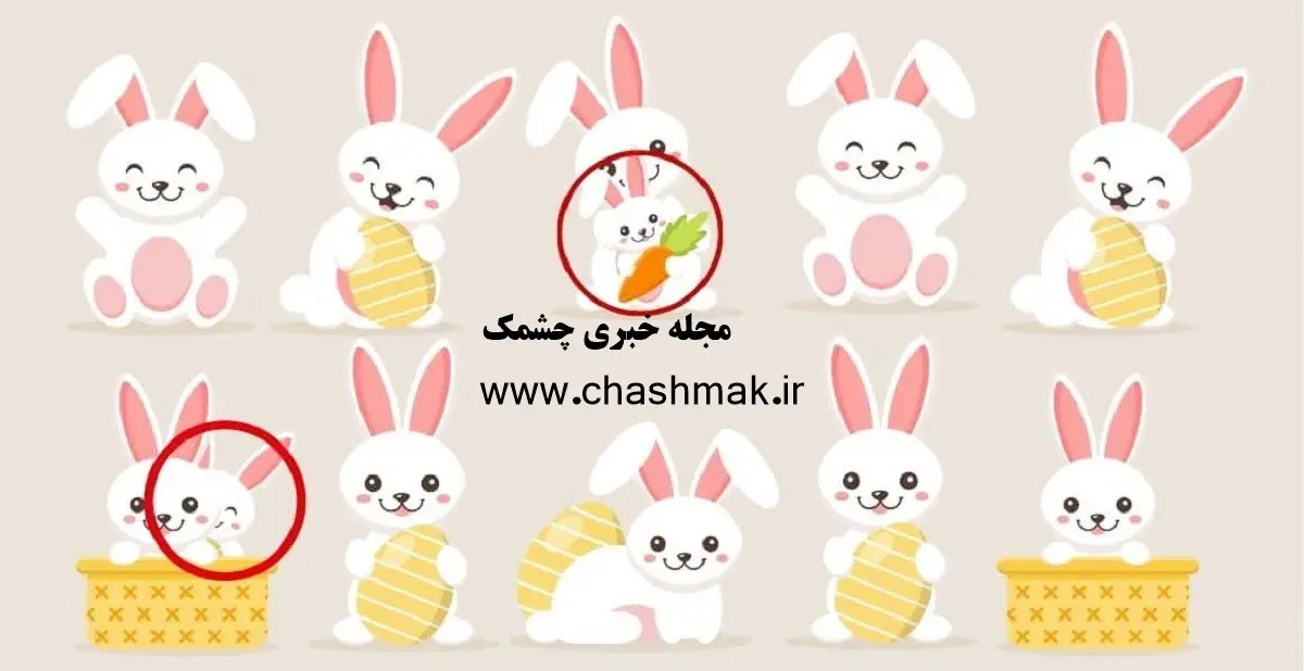 تست هوش