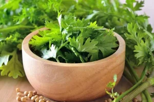 این گیاه سرشار از ویتامین‌های A، C و K کاهش دهنده قند خون