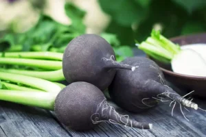پودر شدن سنگ کلیه با یک خوراکی